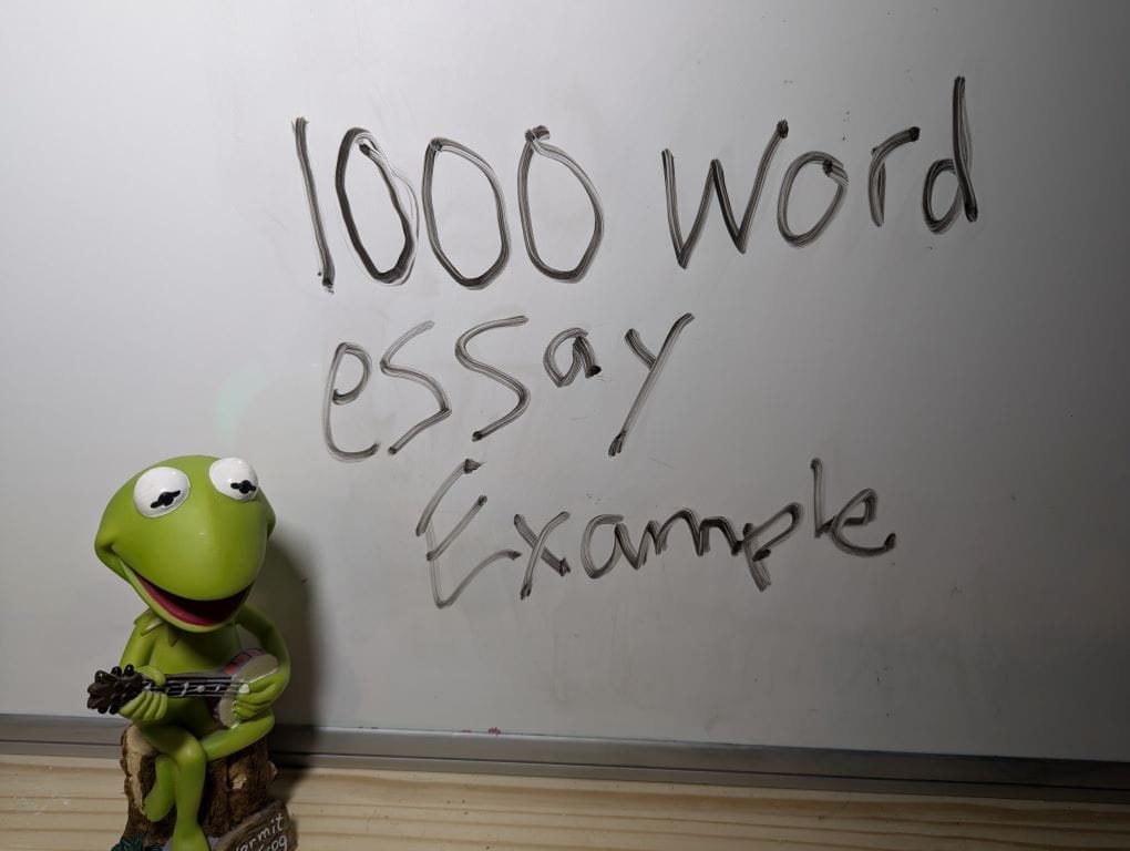 A 1000 Word Essay Example From Kermit the Frog - ScottJohnsonAuthor.com